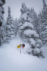 Powder skiing at Steamboat Resort