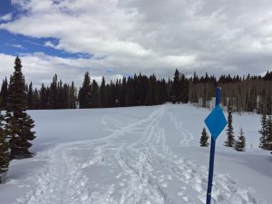 Steamboat Springs, Colorado, Snowshoe, snow, ski, hike, outside, rabbit ears, west summit, vacation, recreation, family, activity, fun