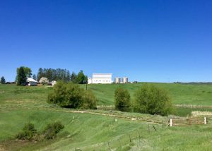 steamboat springs, bike, gravel ride, marabou, brewery, beer, craft beer, tap room, ranch ride, biketown USA, colorado, road ride, mountain biking