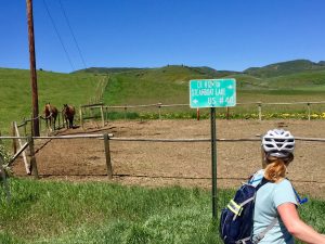 steamboat springs, bike, gravel ride, marabou, brewery, beer, craft beer, tap room, ranch ride, biketown USA, colorado, road ride, mountain biking